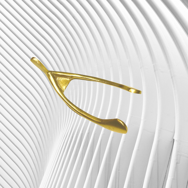 WISHBONE object